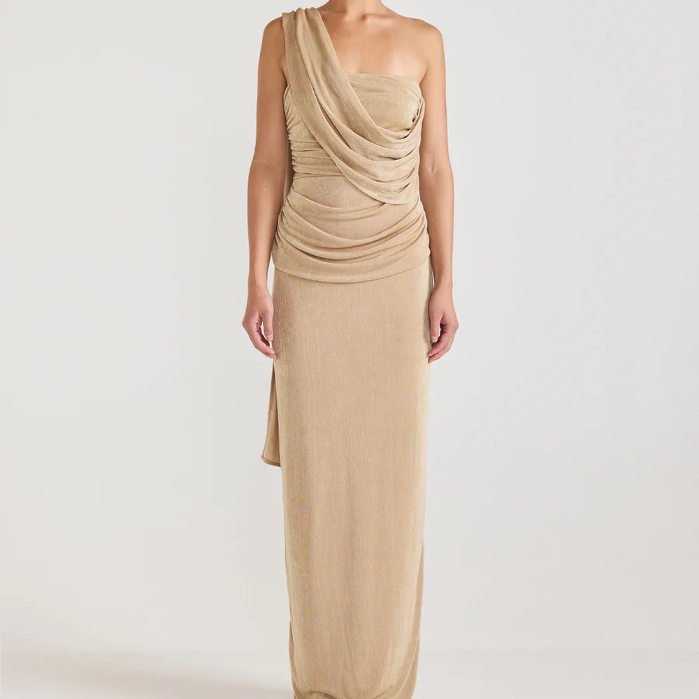 NWT Tojha Iesha Dress in Champagne